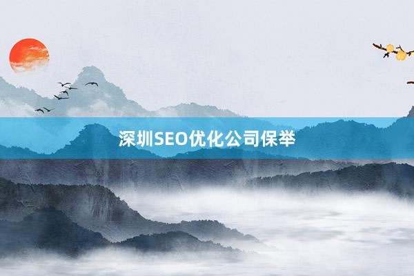 深圳SEO优化公司保举