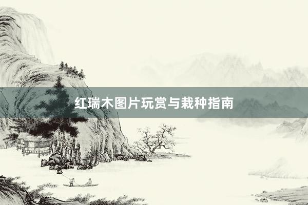 红瑞木图片玩赏与栽种指南