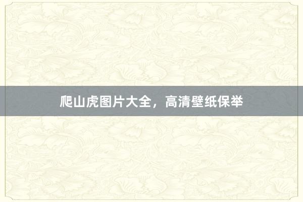 爬山虎图片大全，高清壁纸保举